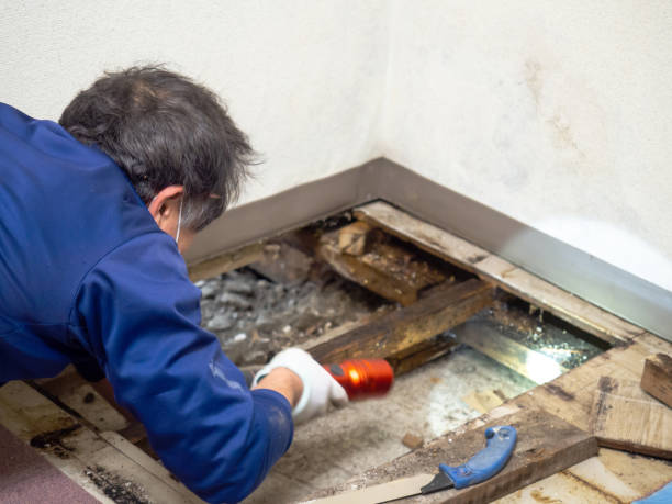 Best Water Damage Restoration  in Woodway, TX
