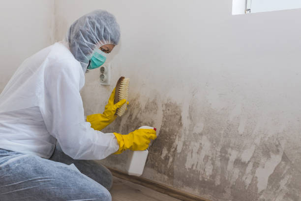 Best Mold Testing  in Woodway, TX