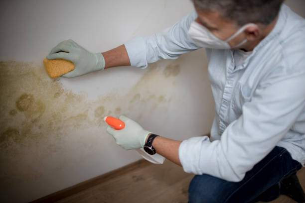 Woodway, TX Mold Removal Company