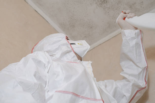 Best Mold Remediation  in Woodway, TX