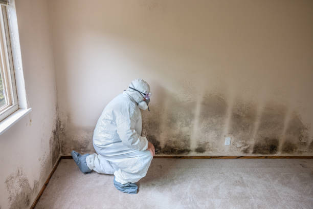 Crawl Space Mold Removal in Woodway, TX