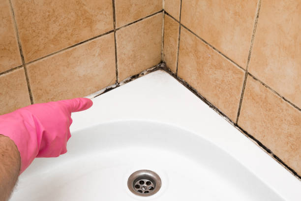 Best Mold Damage Repair  in Woodway, TX